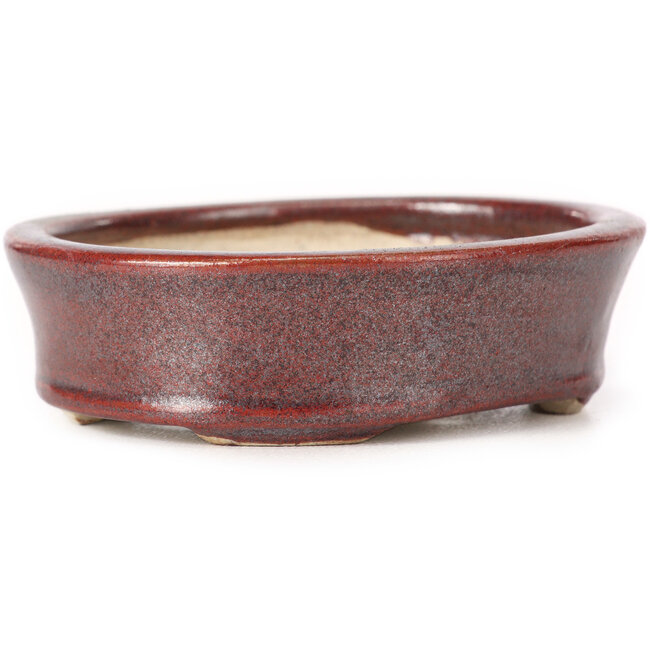 Pot à bonsaï ovale marron par Seto - 83 x 74 x 24 mm