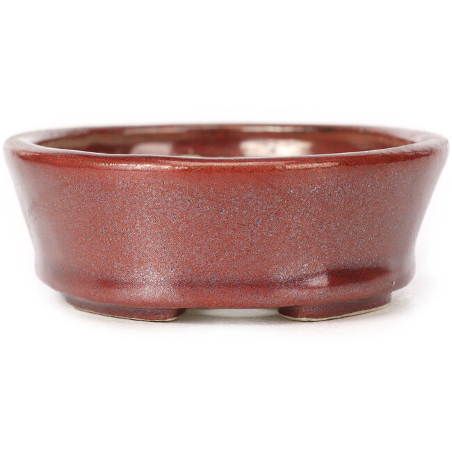 Oval brown bonsai pot by Seto - 95 x 75 x 27 mm