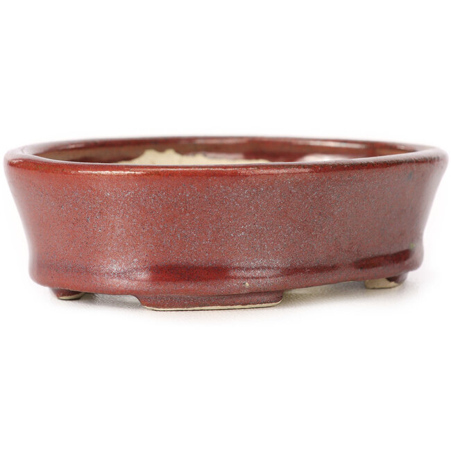 Vaso bonsai ovale marrone di Seto - 95 x 75 x 27 mm