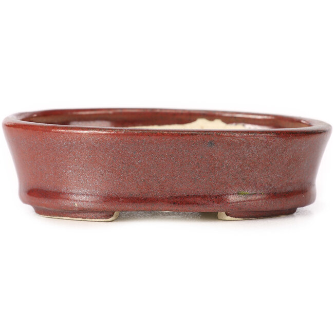 Maceta de bonsái marrón ovalada de Seto - 95 x 75 x 27 mm