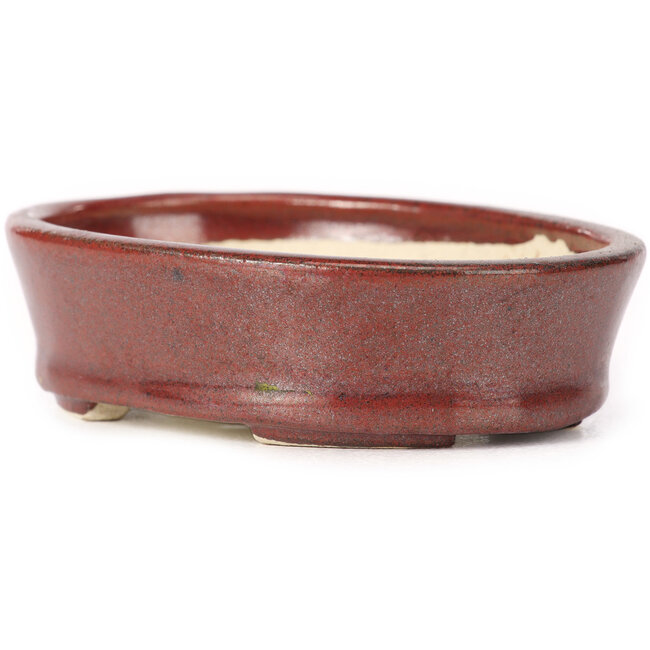 Pot à bonsaï ovale marron par Seto - 95 x 75 x 27 mm
