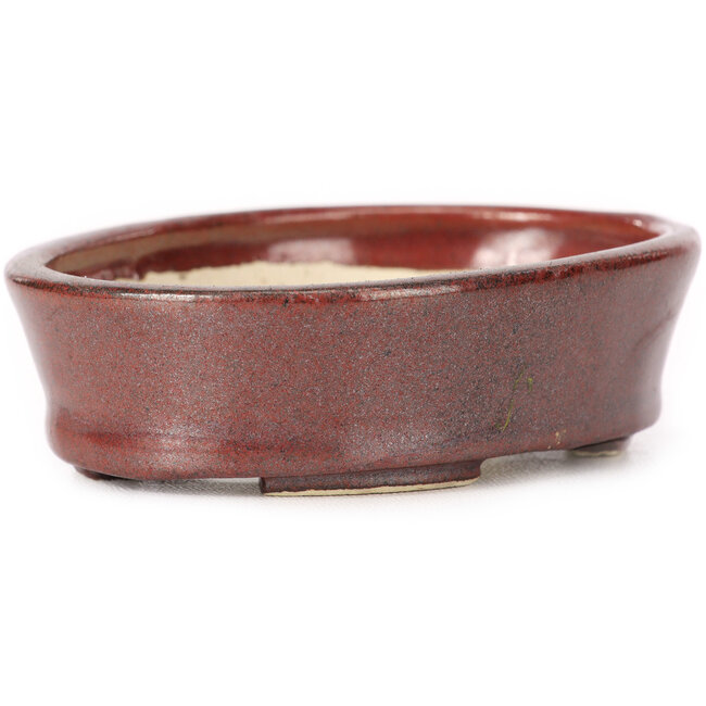 Oval brown bonsai pot by Seto - 95 x 75 x 27 mm