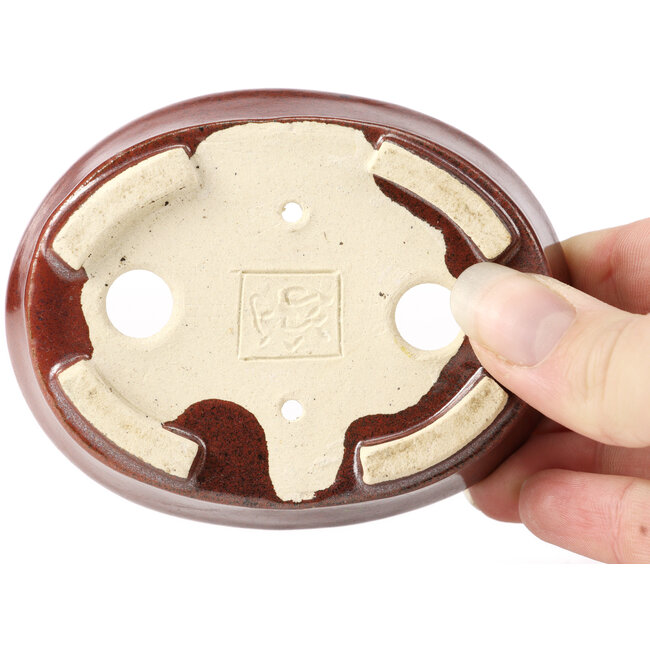 Pot à bonsaï ovale marron par Seto - 95 x 75 x 27 mm