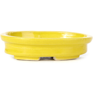 Seto 103 mm oval yellow bonsai pot by Seto, Japan