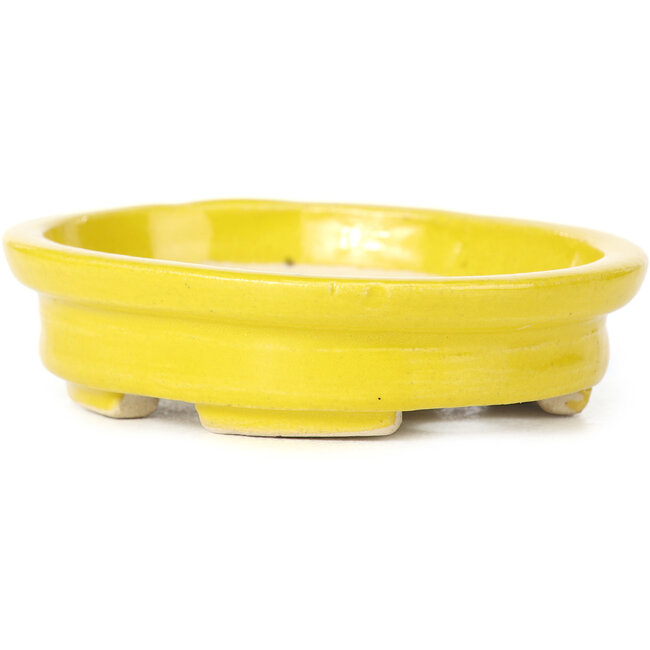 Oval yellow bonsai pot by Seto - 103 x 84 x 26 mm