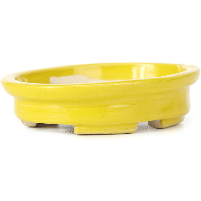 Vaso bonsai giallo ovale di Seto - 103 x 84 x 26 mm