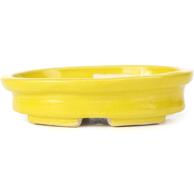 Maceta de bonsái amarilla ovalada de Seto - 103 x 84 x 26 mm