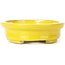 Vaso bonsai giallo ovale di Seto - 103 x 84 x 26 mm