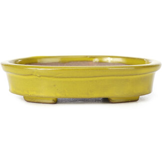 Seto 101 mm oval yellow bonsai pot by Seto, Japan