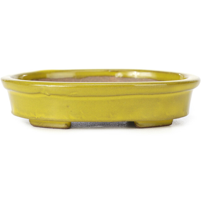 Pot à bonsaï ovale jaune par Seto - 101 x 85 x 22 mm