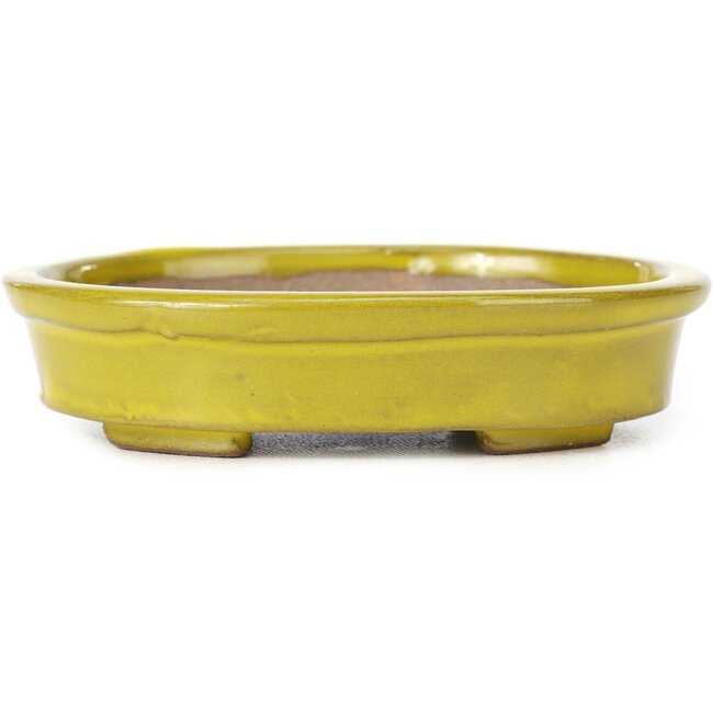 Vaso bonsai giallo ovale di Seto - 101 x 85 x 22 mm