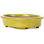 Oval yellow bonsai pot by Seto - 101 x 85 x 22 mm