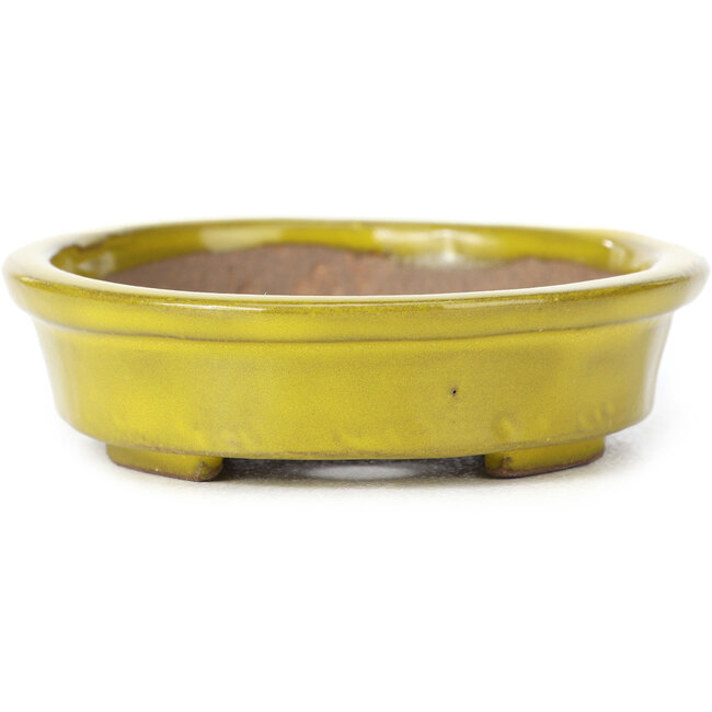 Vaso bonsai giallo ovale di Seto - 101 x 85 x 22 mm