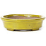 Oval yellow bonsai pot by Seto - 101 x 85 x 22 mm