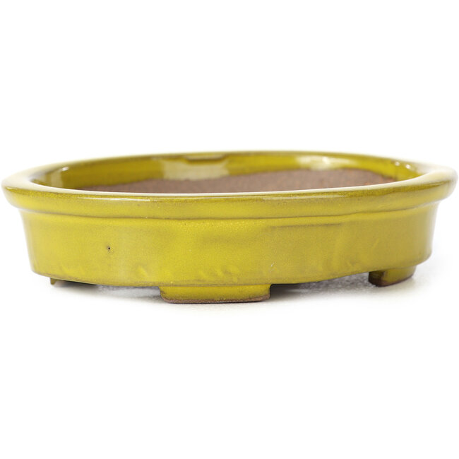 Ovale gelbe Bonsaischale von Seto - 101 x 85 x 22 mm