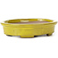 Oval yellow bonsai pot by Seto - 101 x 85 x 22 mm