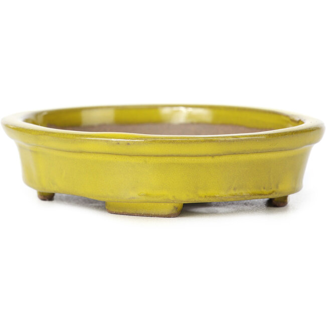Pot à bonsaï ovale jaune par Seto - 101 x 85 x 22 mm
