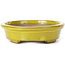 Oval yellow bonsai pot by Seto - 101 x 85 x 22 mm