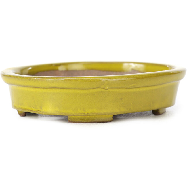 Vaso bonsai giallo ovale di Seto - 101 x 85 x 22 mm