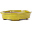 Oval yellow bonsai pot by Seto - 101 x 85 x 22 mm