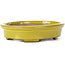 Pot à bonsaï ovale jaune par Seto - 101 x 85 x 22 mm