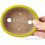 Pot à bonsaï ovale jaune par Seto - 101 x 85 x 22 mm