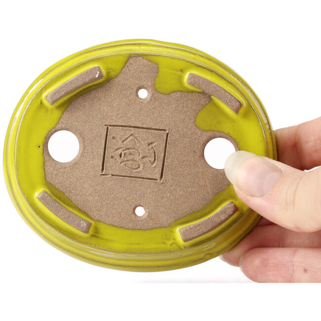 Pot à bonsaï ovale jaune par Seto - 101 x 85 x 22 mm