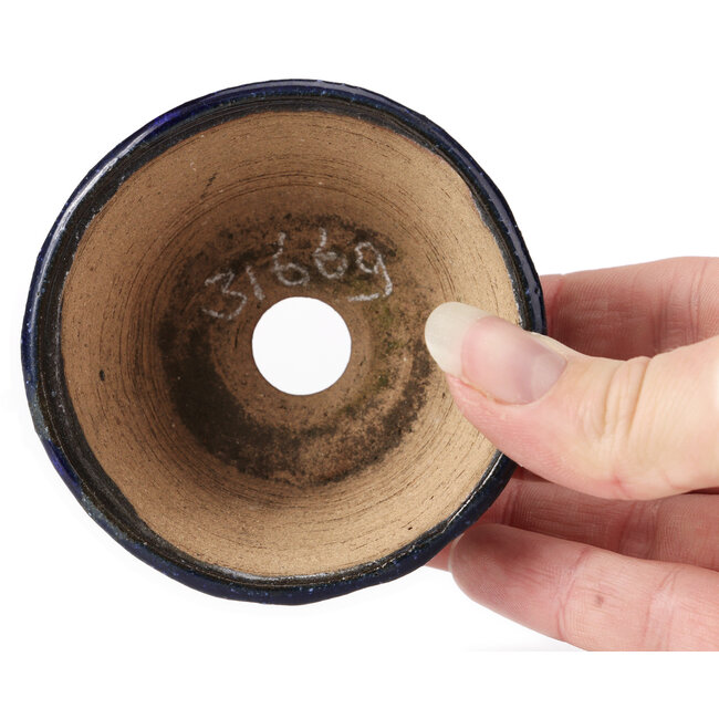 Vaso bonsai rotondo blu di Bonsai - 77 x 77 x 43 mm