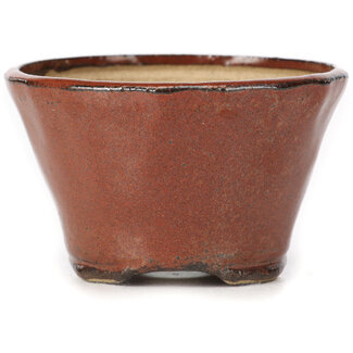 Bonsai Vaso per bonsai rotondo rosso marrone da 73 mm di Bonsai, Giappone