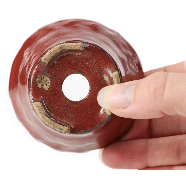 Pot à bonsaï rond brun rouge par Bonsai - 73 x 73 x 45 mm