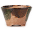Round green and brown bonsai pot by Bonsai - 71 x 69 x 34 mm
