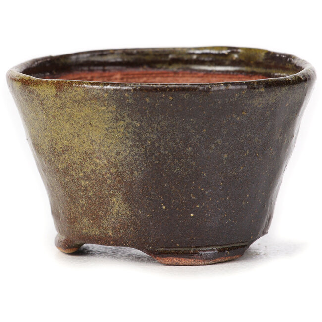 Pot à bonsaï rond vert et marron par Bonsai - 70 x 70 x 43 mm