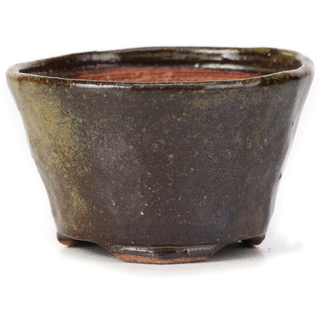 Runde grüne und braune Bonsaischale von Bonsai - 70 x 70 x 43 mm