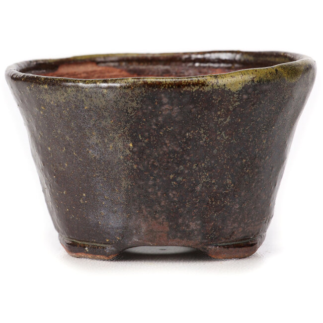 Round green and brown bonsai pot by Bonsai - 70 x 70 x 43 mm