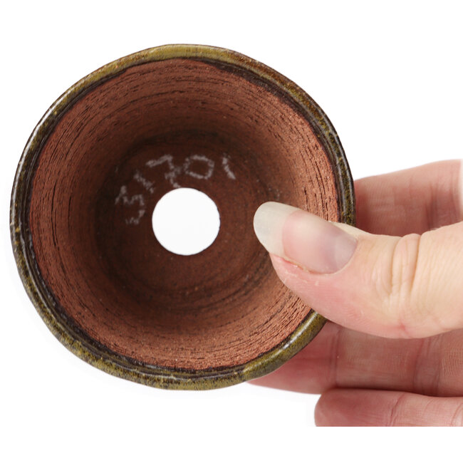 Pot à bonsaï rond vert et marron par Bonsai - 70 x 70 x 43 mm
