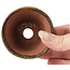 Round green and brown bonsai pot by Bonsai - 70 x 70 x 43 mm