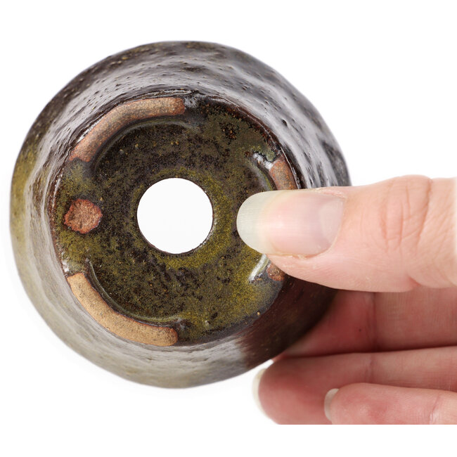 Pot à bonsaï rond vert et marron par Bonsai - 70 x 70 x 43 mm