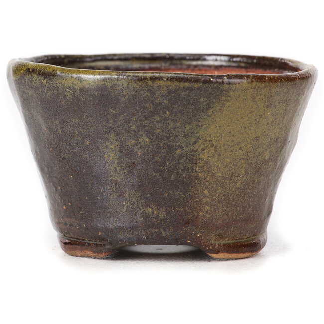 Round green and brown bonsai pot by Bonsai - 70 x 70 x 43 mm