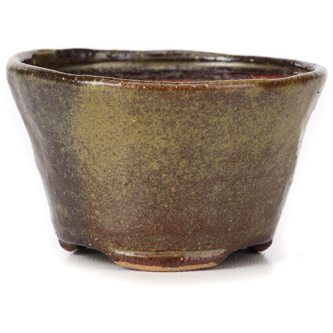 Pot à bonsaï rond vert et marron par Bonsai - 70 x 70 x 43 mm