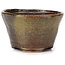 Round green and brown bonsai pot by Bonsai - 70 x 70 x 43 mm