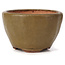 Round green and brown bonsai pot by Bonsai - 70 x 67 x 44 mm