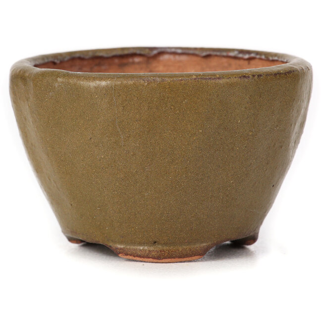 Ronde groene en bruine bonsaipot van Bonsai - 70 x 67 x 44 mm
