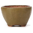 Round green and brown bonsai pot by Bonsai - 70 x 67 x 44 mm