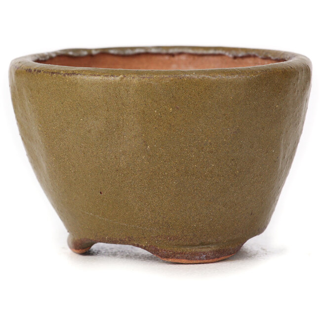 Ronde groene en bruine bonsaipot van Bonsai - 70 x 67 x 44 mm