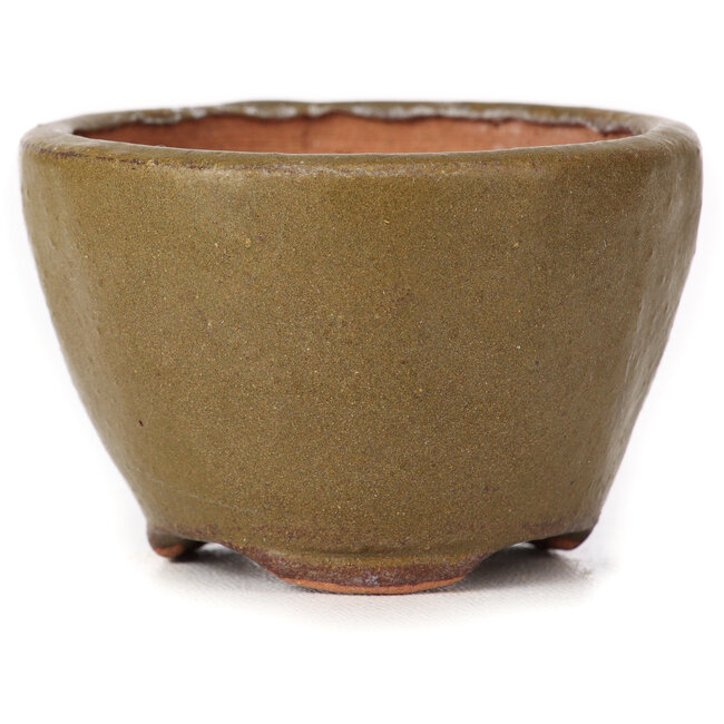 Maceta de bonsái redonda verde y marrón de Bonsai - 70 x 67 x 44 mm