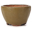 Round green and brown bonsai pot by Bonsai - 70 x 67 x 44 mm