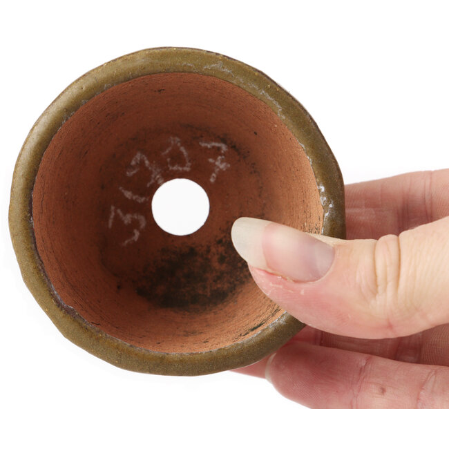 Maceta de bonsái redonda verde y marrón de Bonsai - 70 x 67 x 44 mm