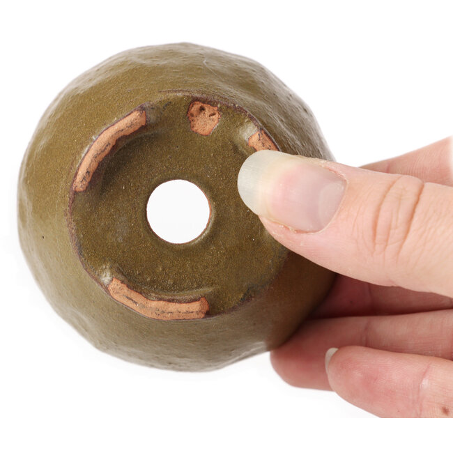 Vaso bonsai rotondo verde e marrone di Bonsai - 70 x 67 x 44 mm