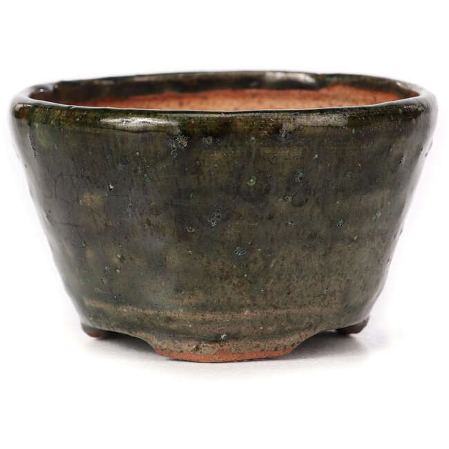 Ronde groene bonsai pot van Bonsai - 73 x 72 x 44 mm