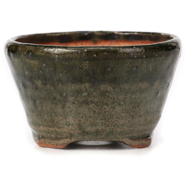 Maceta de bonsái verde redonda de Bonsai - 73 x 72 x 44 mm